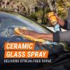 image:imageArmor All Ultimate Car Detailing Kit Includes Car Wash Glass Cleaner Tire Cleaner Microfiber Accessories 9 Piece Kit