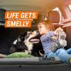 image:imageArmor All Car Air Freshener and Purifier Car Odor Eliminator Stocking Stuffers 15 Ounce Pack of 3