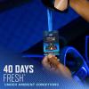 image:imageArmor All Podium Series Hanging Car Air Freshener All Access Pass Lights Out Scent 6 Pack RacingInspired Auto Air Freshener With LongLasting Fragrance