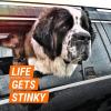 image:imageArmor All Fresh Fx Odor Eliminator Car Fogger 3 Count Car Air Freshener New Car Scent